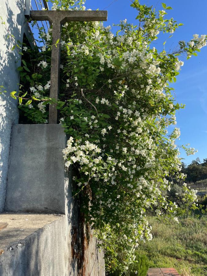 Ferienwohnung Quinta Do Eco Vila de Rei Exterior foto